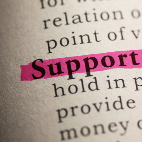 Image showing the word 'Support' highlighted in pink in a dictionary.