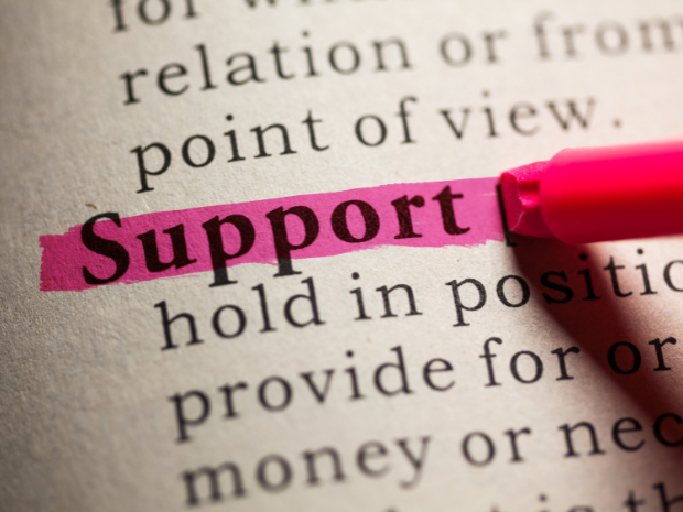 Photo of a dictionary, with the word 'Support' highlighted in pink.